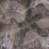 clayangels